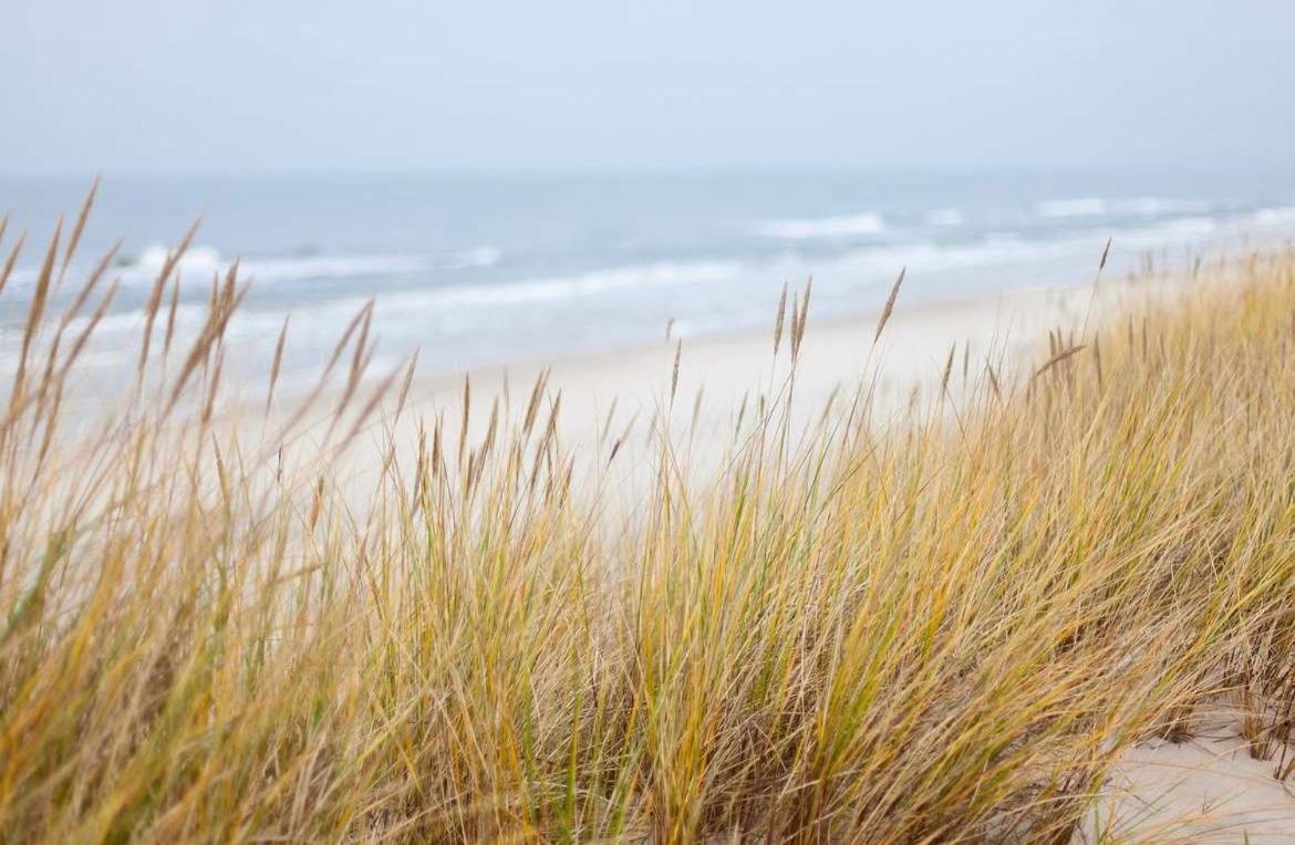 Oase An Der Ostsee Mit 2 Schlafzimmern Хайлигенхафен Екстериор снимка